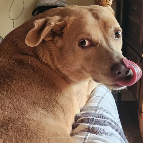 Meet your Posher, Mary - Picture 2 of 16